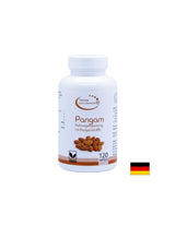Pangam Nahrungsegänzung mit Pangamat B15 - Pangam (vitamin B15), 120 kapsula El Compra