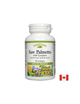 Saw Palmetto s likopenom - 90 gel kapsula