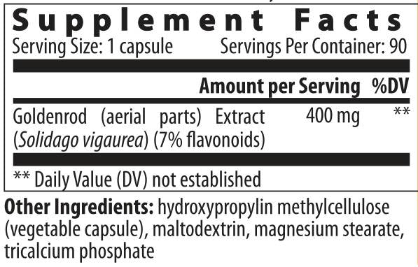Solidago - 24 kapsule