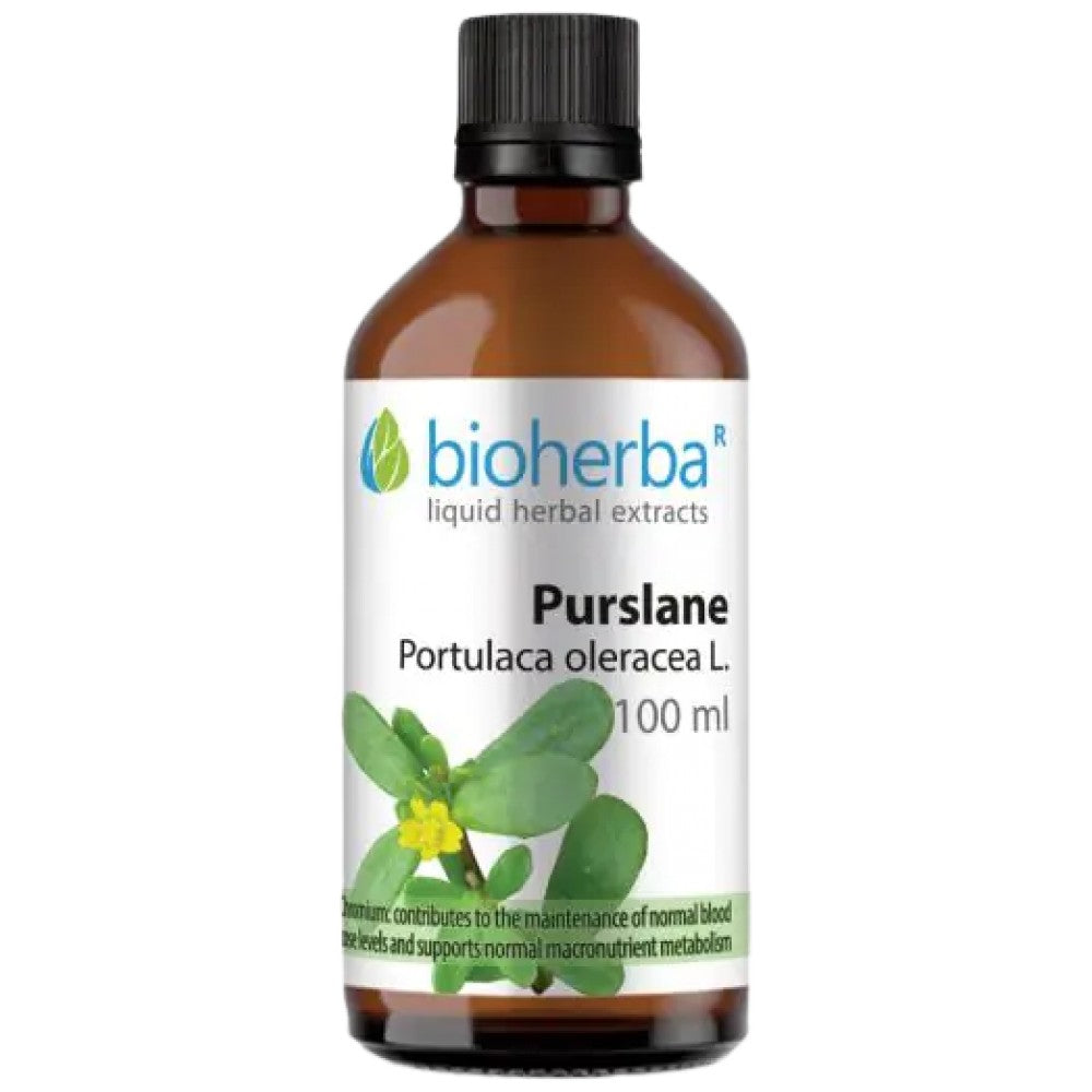 Tinktura Portulaca oleracea (portulak) - 100 ml