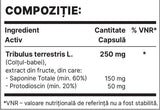 TriBul 250mg | Tribulus Terrestris ekstrakt - 60 kapsula