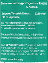 Tribulus Terrestris | 90% Saponini - 90 kapsula