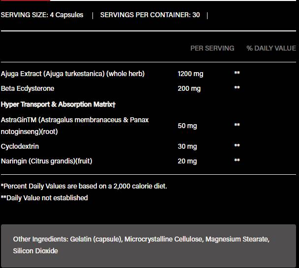 Turkesteron 1200 | s beta-ekdisteronom & AstraGin - 120 kapsula