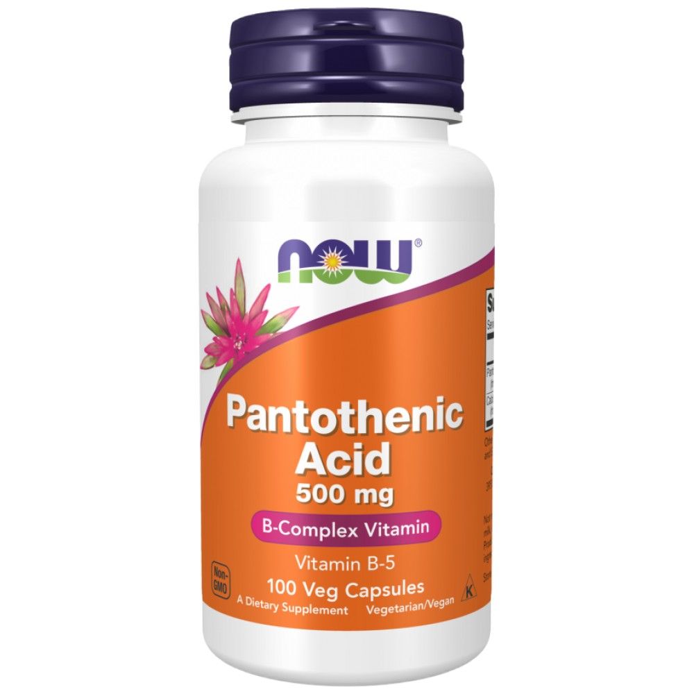 Vitamin B-5/pantotenska kiselina 500 mg - 100 kapsula