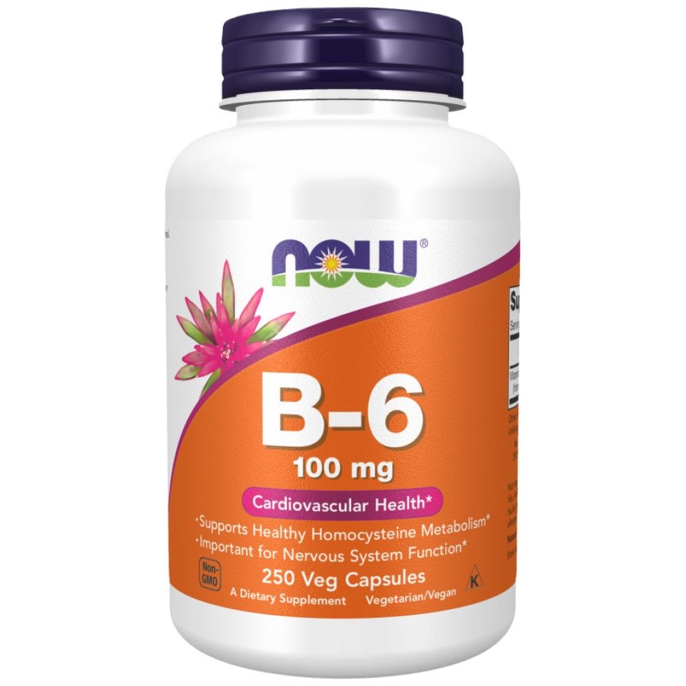 Vitamin B-6 100 mg - 250 kapsula