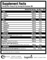 X Neuro | EAA, BCAA & Nootropik - 292,5 grama