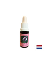 Aktivira hrabrost i samoizlječenje - Essence Prishnitsa br. 25, kapi 15 ml