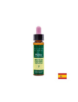 Brote de castaño (Chestnut but) Elixir Floral 7 - Eliksir cvijeta pupoljka kestena, 10 ml Arte<tc>san</tc>tj