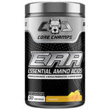 EAA prah | Aromatizirani - 405 grama