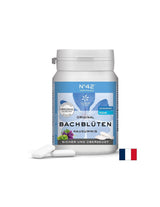 Dr. Bach Flower Essence Chews n ° 42 - Povjerenje i povjerenje u vlastite mogućnosti, 40 žvakanja aromatiziranih borovnice