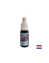 Detoksikacija - Essence Physalia (portugalska galija) br. 4, padne 15 ml