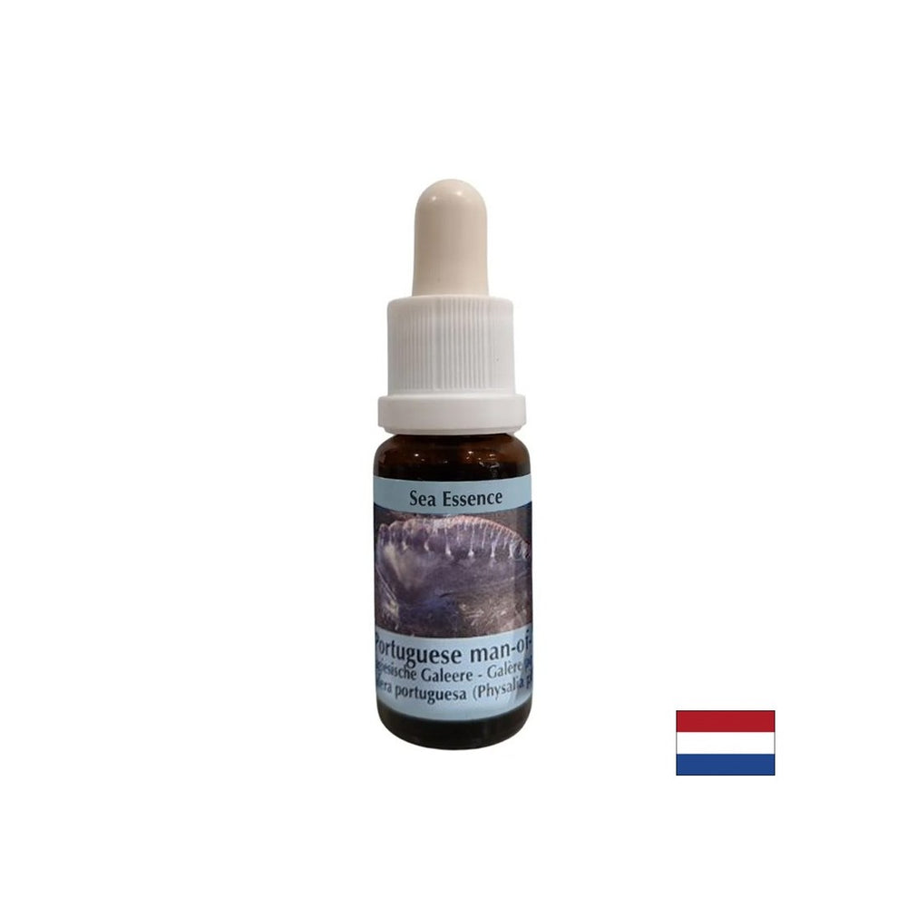 Detoksikacija - Essence Physalia (portugalska galija) br. 4, padne 15 ml