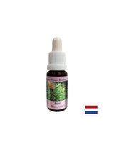 Kada se osjećate krivom - Essence Boron br. 24, pada 15 ml