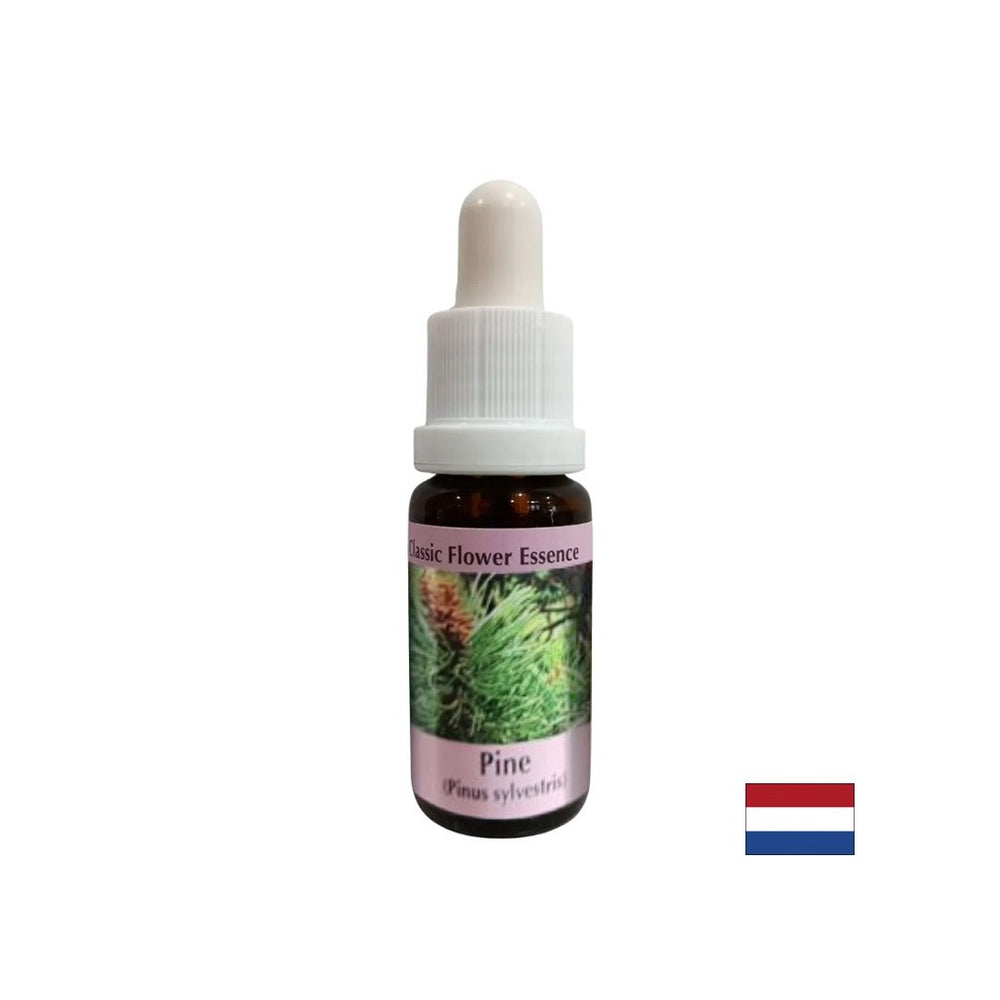 Kada se osjećate krivom - Essence Boron br. 24, pada 15 ml