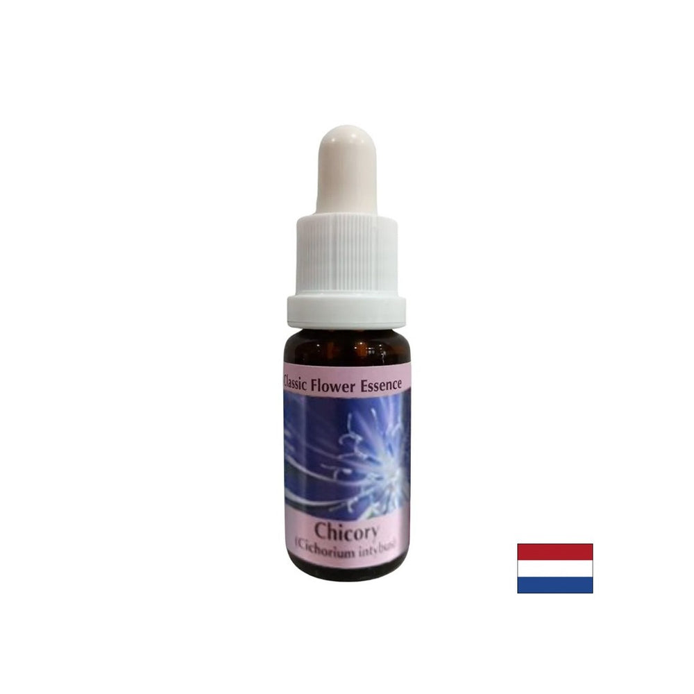 Usredotočiti se na sebe - Essence cikorija br. 8, pada 15 ml