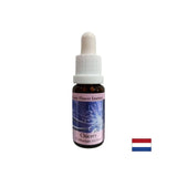 Usredotočiti se na sebe - Essence cikorija br. 8, pada 15 ml
