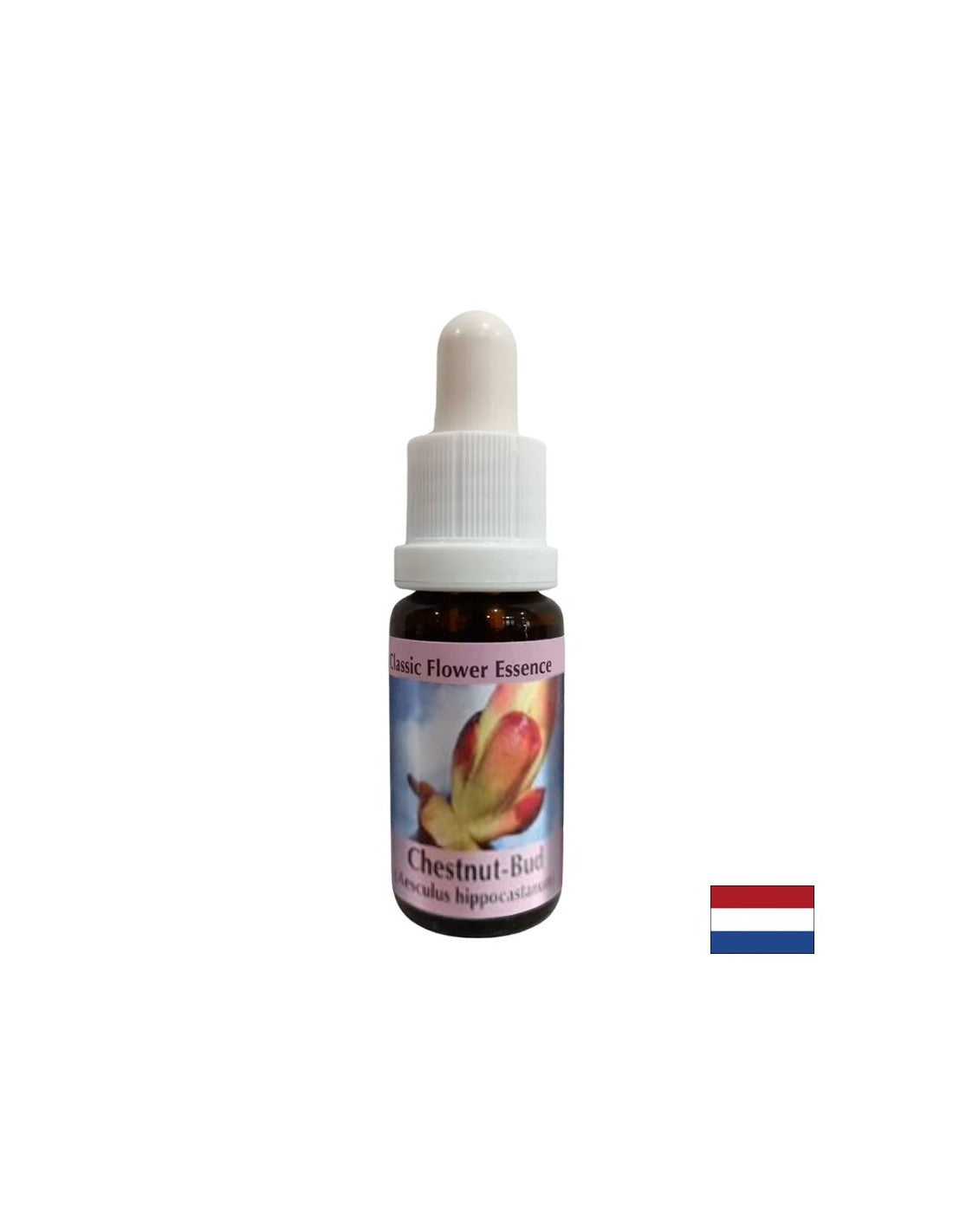 Uklanja blokade energije - Essence kestena Bud Essence br. 7, padne 15 ml
