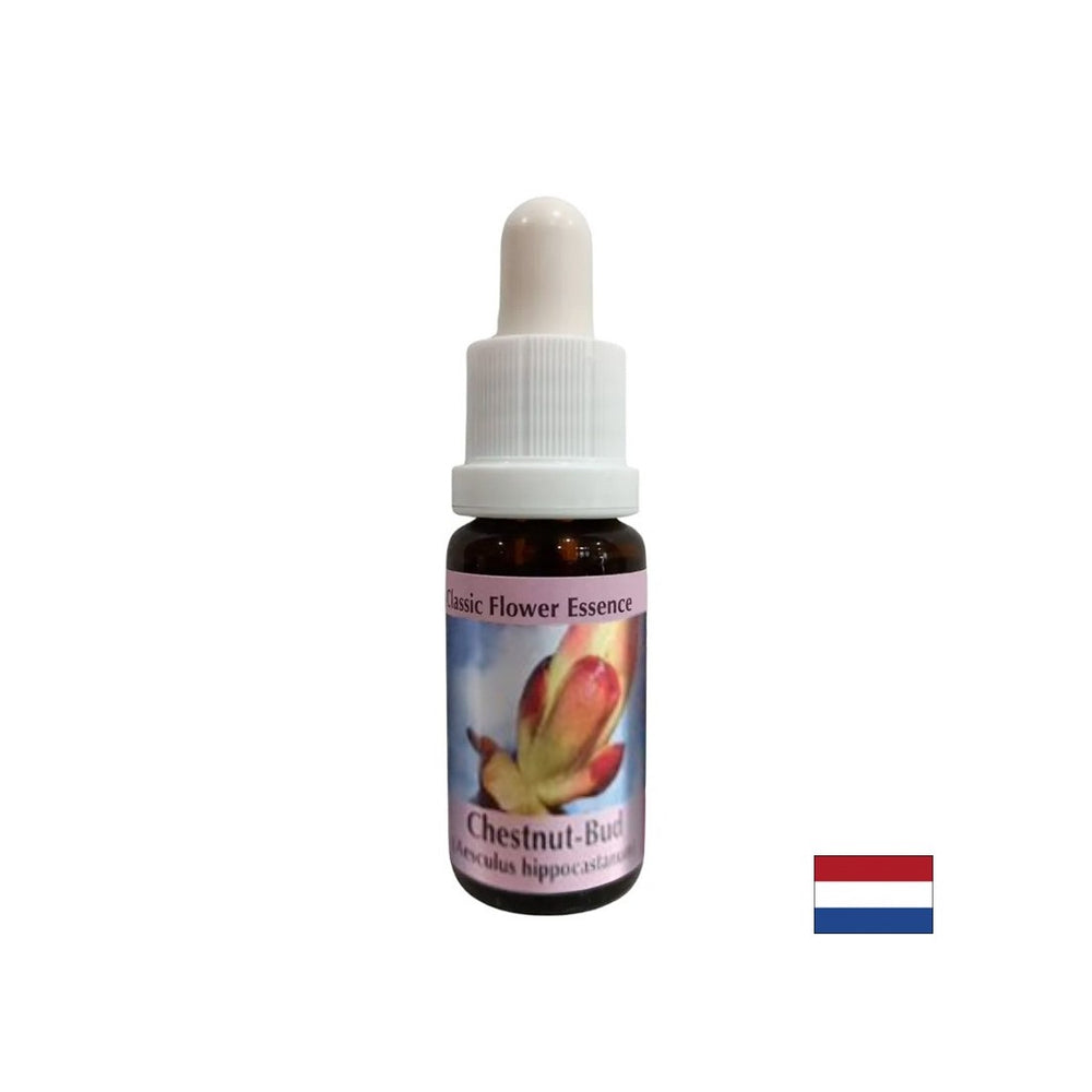 Uklanja blokade energije - Essence kestena Bud Essence br. 7, padne 15 ml