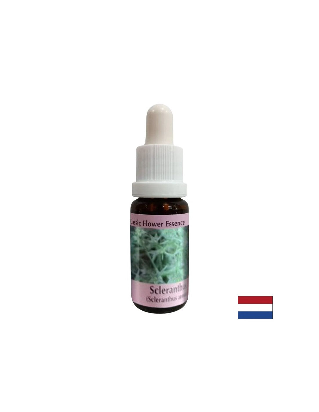 Za unutarnju ravnotežu - Essence hrskavice br. 28, padne 15 ml