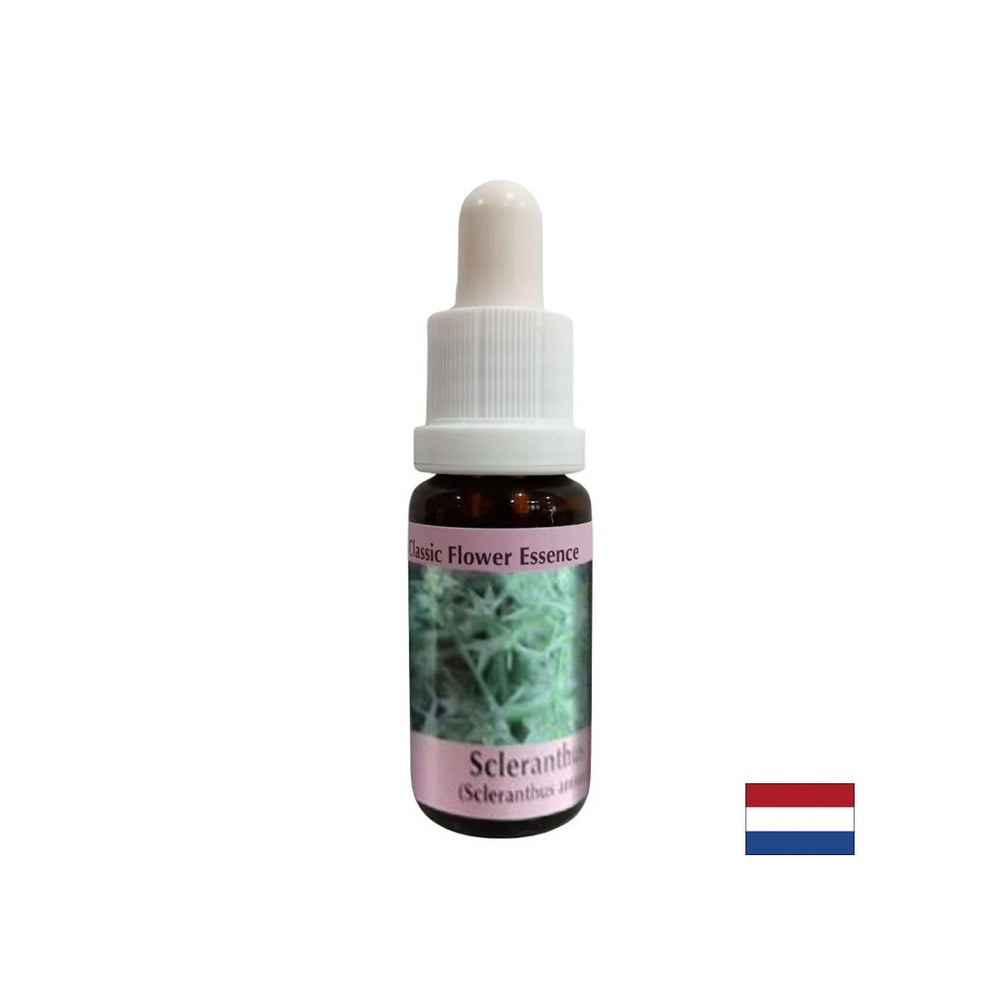 Za unutarnju ravnotežu - Essence hrskavice br. 28, padne 15 ml
