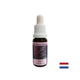 Povećava samopoštovanje - Larch Essence br. 19, padne 15 ml