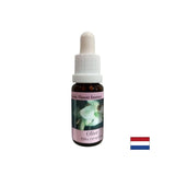 Vraća snagu - maslina Essence br. 23, padne 15 ml