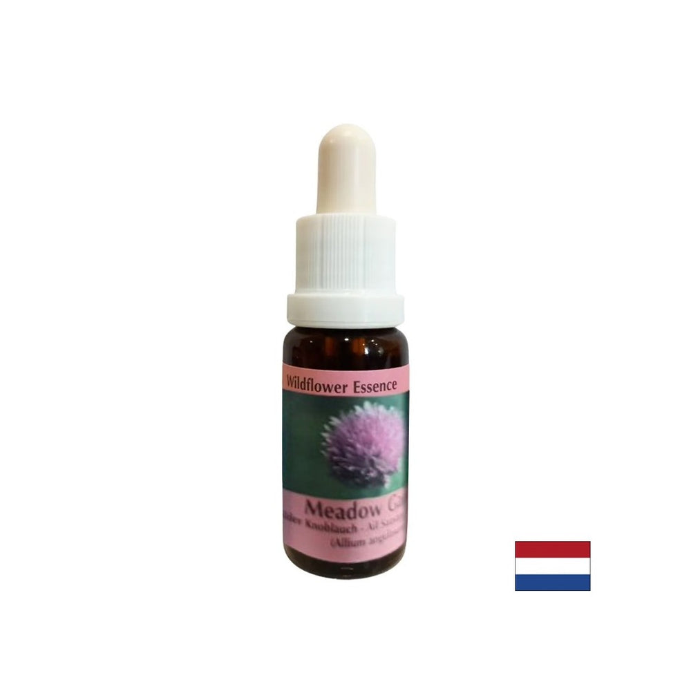 Stimulira snagu volje i metabolizam - luk Essence br. 39, padne 15 ml