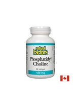 Fosfatidil holin 420 mg - 90 softgels