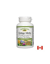 Ginkgo biloba 60 mg - 120 kapsula