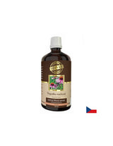 Imunitet - echinacea, 100 ml tinkture