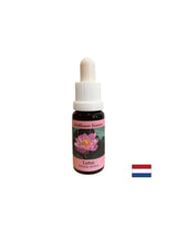 Harmonizira čakre i otvara um - Essence Indian Lotus br. 30, padne 15 ml