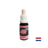 Harmonizira čakre i otvara um - Essence Indian Lotus br. 30, padne 15 ml