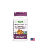 Cordyceps 500 mg - 60 kapsula