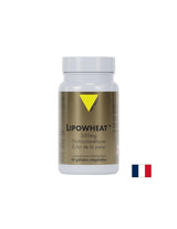 Prekrasna koža - fito ceramidi Lipowheat ™, 350 mg x 30 kapsula