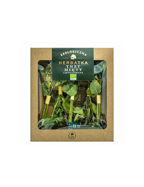 Lyophilized tea of three types of mint Bio, 5 sticks x 1.5 g Dary Natury - Nutra Best Europe