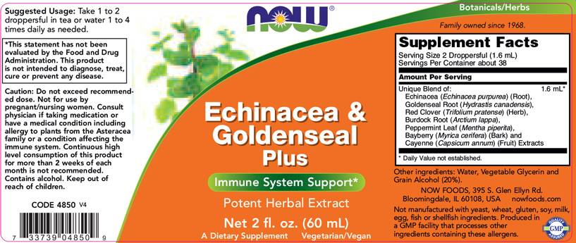 Echinacea & GoldenSeal Plus - 60 ml