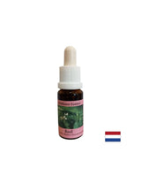 Ujedinjuje energetske centre, za dobru probavu - Basil Essence br. 23, pada 15 ml