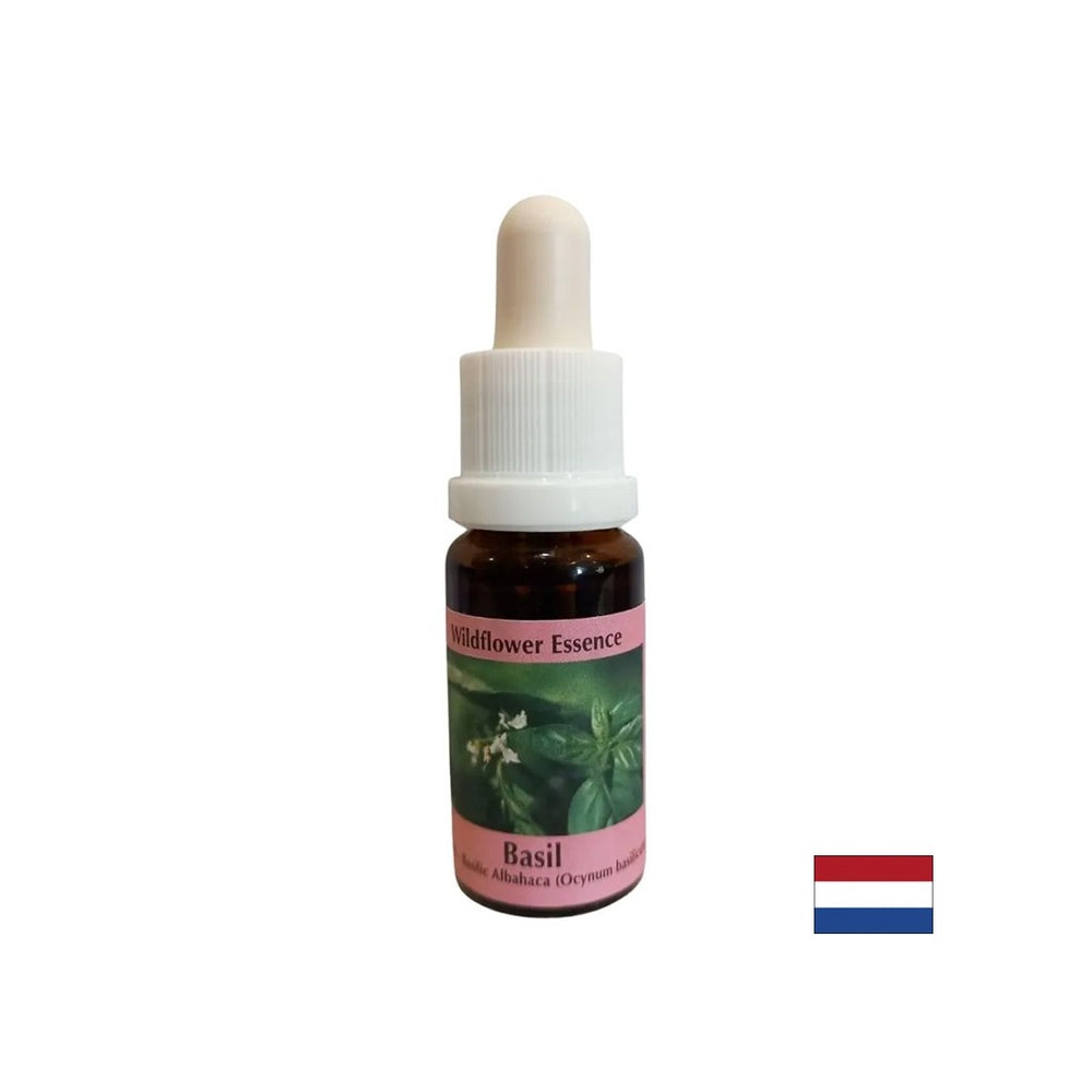 Ujedinjuje energetske centre, za dobru probavu - Basil Essence br. 23, pada 15 ml