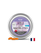 Dr. Bach pastile - N°41 Focus, 50 g (~ 40 kom) <tc>Lemon Pharma</tc>