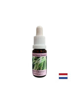 U vrijeme očaja i zastoja - slatka kestena Essence, pada 15 ml