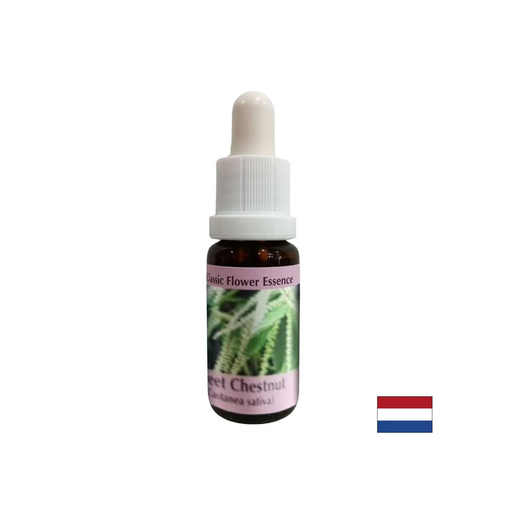 U vrijeme očaja i zastoja - slatka kestena Essence, pada 15 ml