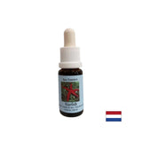 Poboljšava komunikaciju - Essence Starfish Essence br. 9, kapi 15 ml