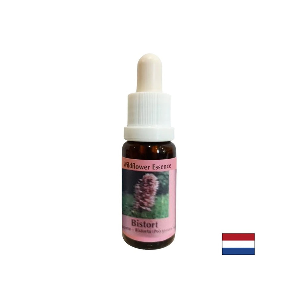 Podržava koncentraciju i fokus - Blooroot Essence br. 28, padne 15 ml