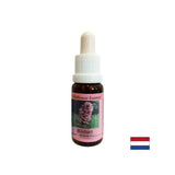 Podržava koncentraciju i fokus - Blooroot Essence br. 28, padne 15 ml