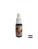 Pomaže medijima u prijenosu duhovnih poruka - kanaliziranje orhideje Essence br. 5, 15 ml kapi