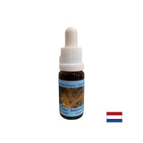 Podržava pozitivnu transformaciju i ravnotežu - Essence rutilirani kvarc br. 13, padne 15 ml