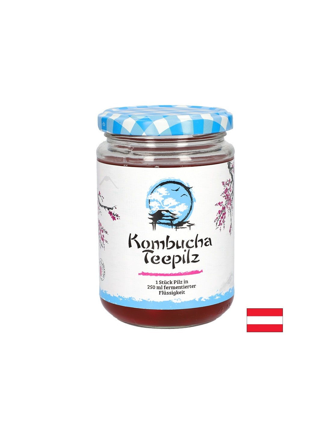 Jača imunitet - spužva čaja Kombucha s fermentiranim voćnim čajem, 200 ml