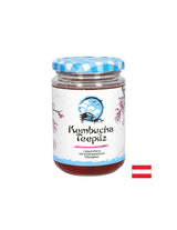 Jača imunitet - spužva čaja Kombucha s fermentiranim voćnim čajem, 200 ml