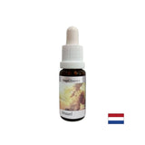 Pomaže u razumijevanju značenja novca - Angel Essence br. 1, pada 15 ml