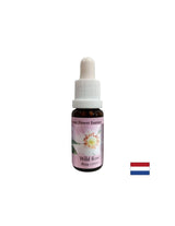 Povećava aktivnost i motivacija - Essence Rosehip br. 37, padne 15 ml